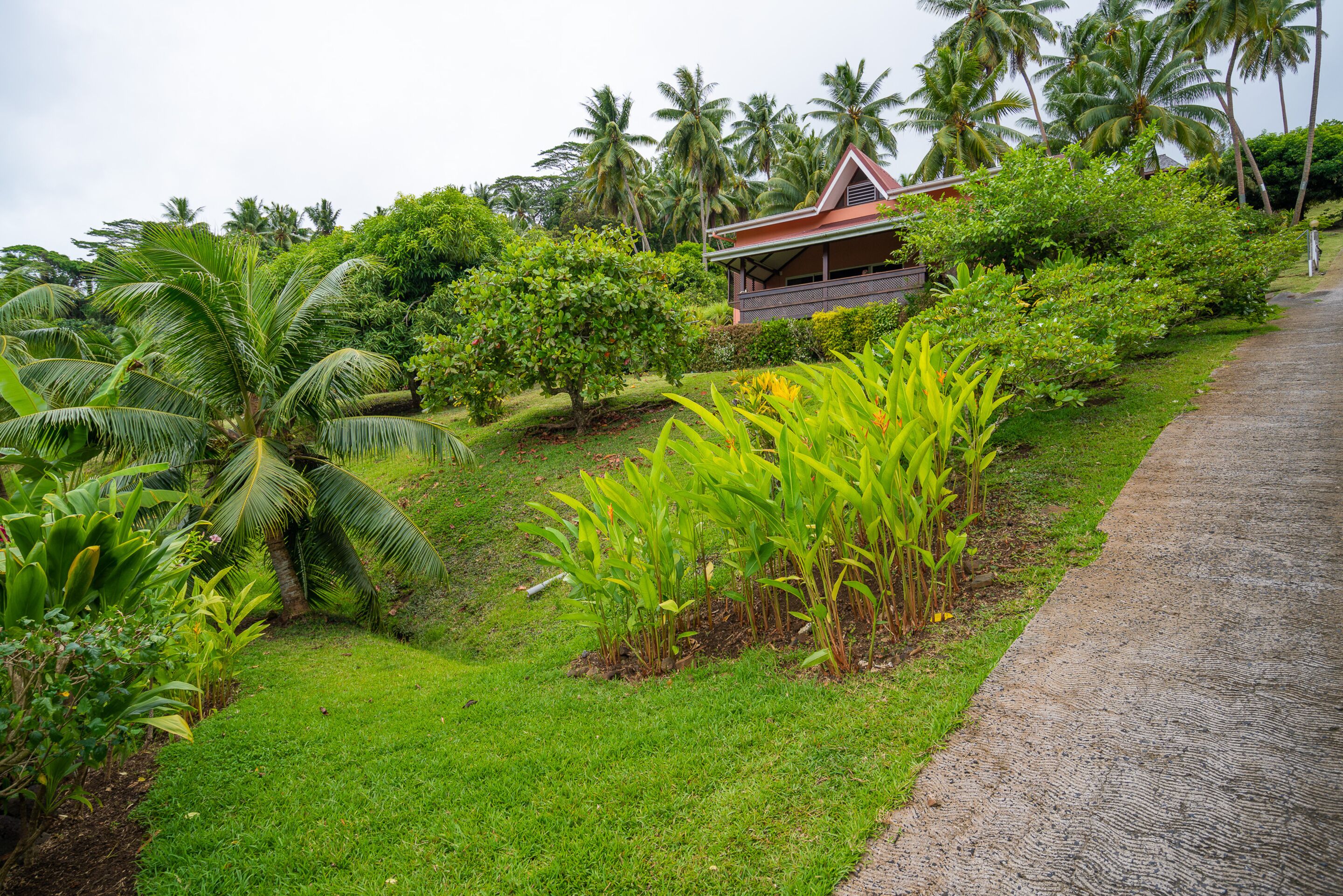 A lush garden with palm trees and a building with a red roof.