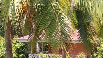 A lush garden with palm trees and a white gazebo.