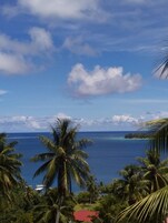 Vista de una playa tropical con palmeras y un cielo azul despejado.