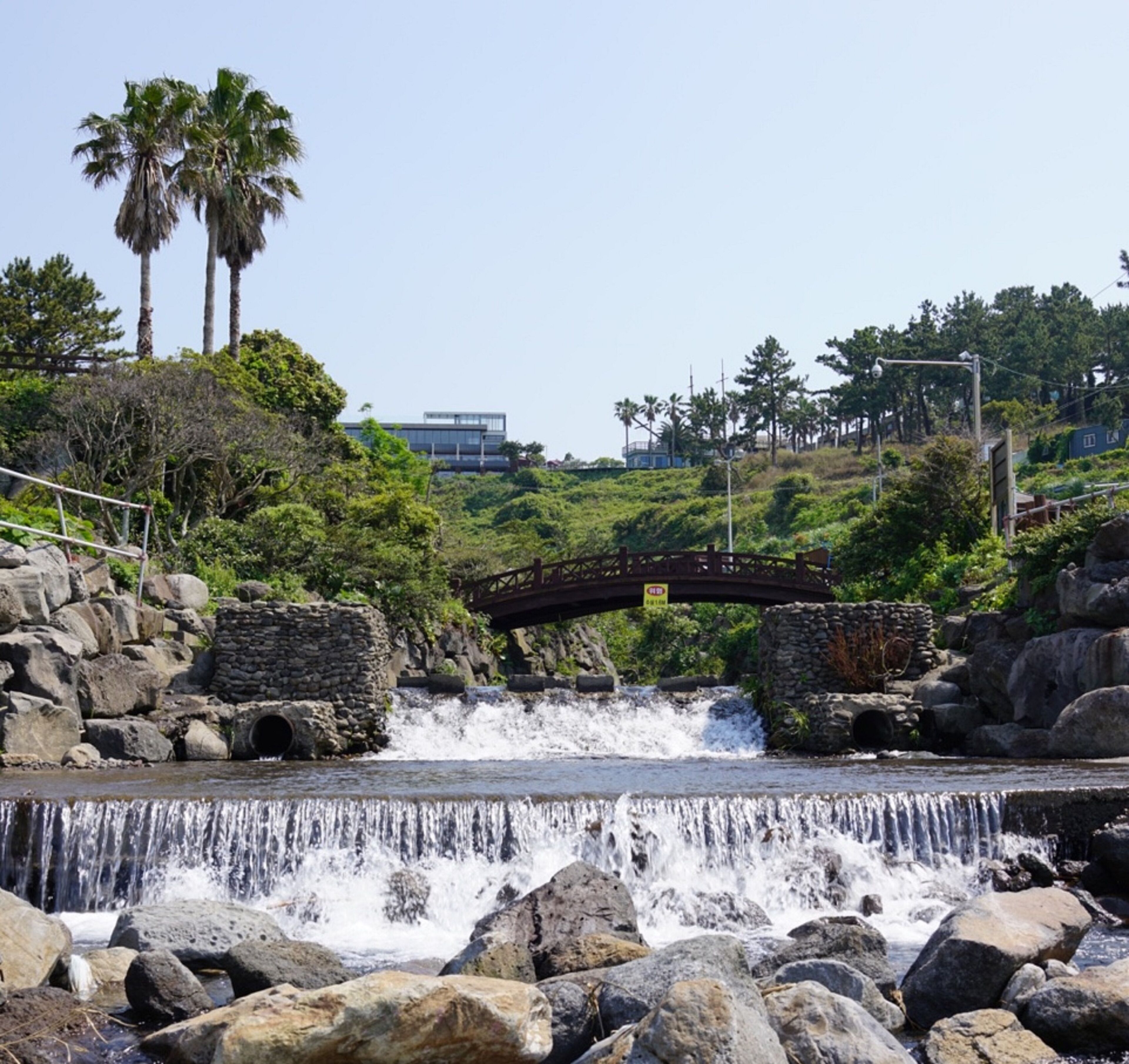 庭園