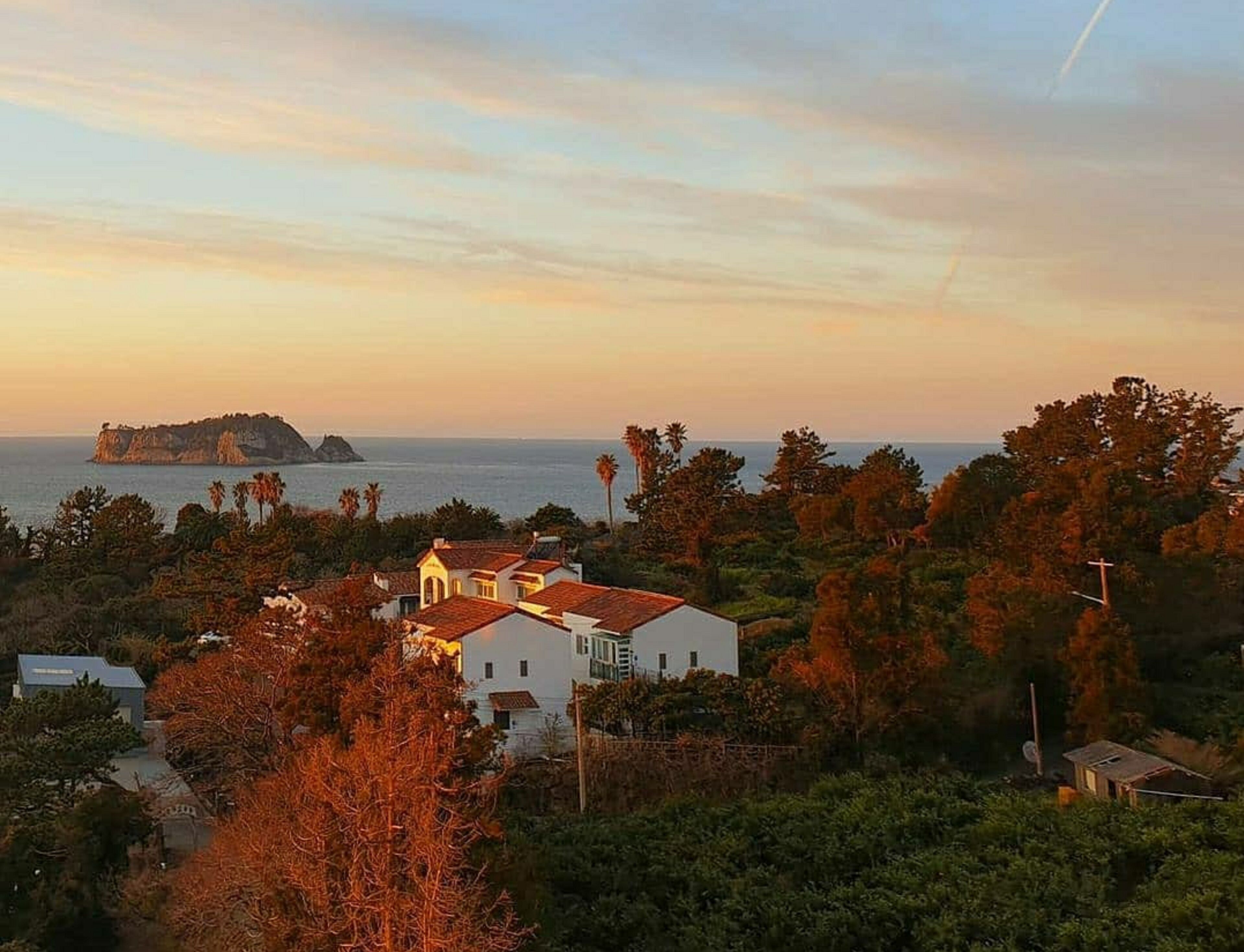 A coastal view with a white building surrounded by trees and a distant island.