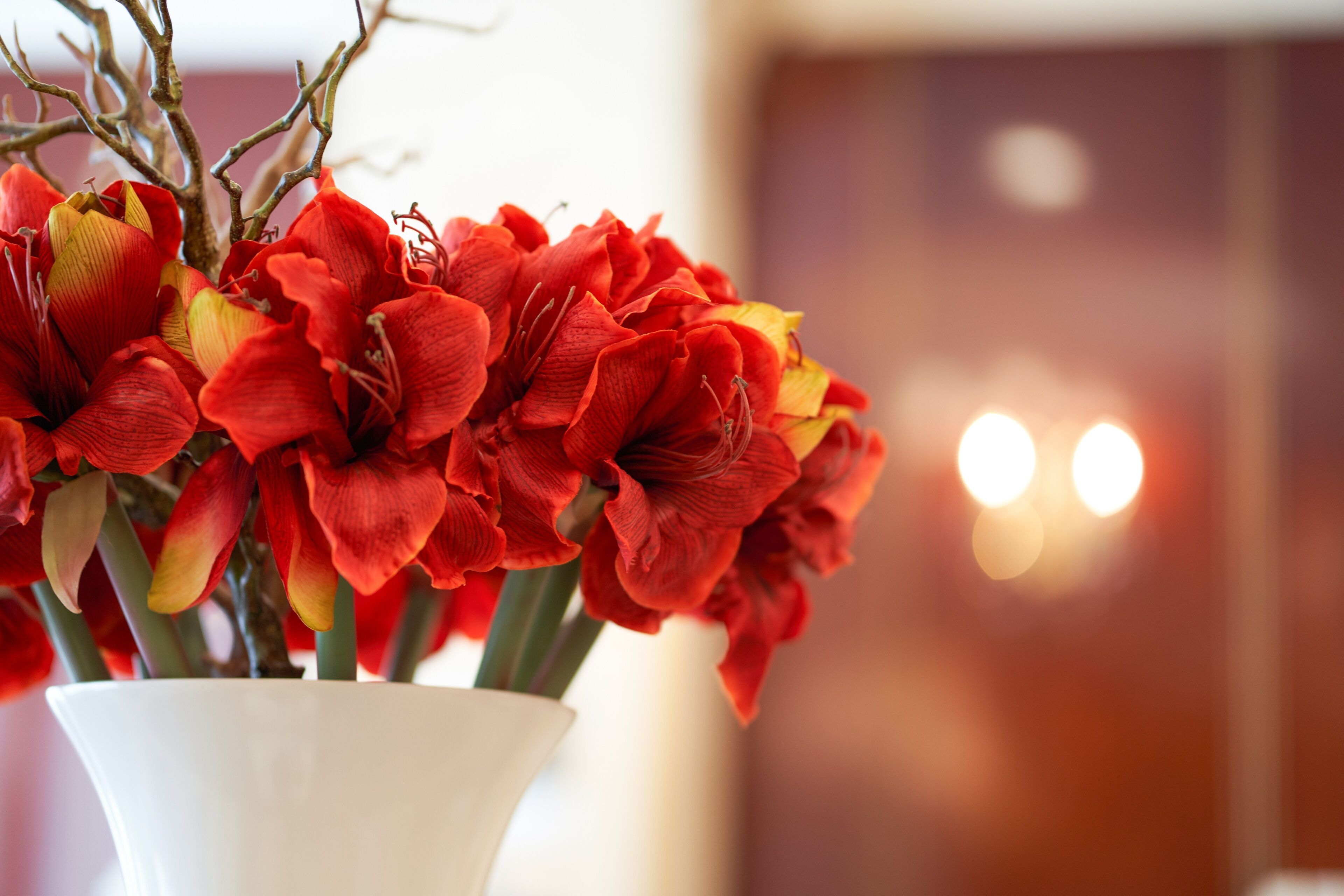 A white vase with red and yellow flowers.