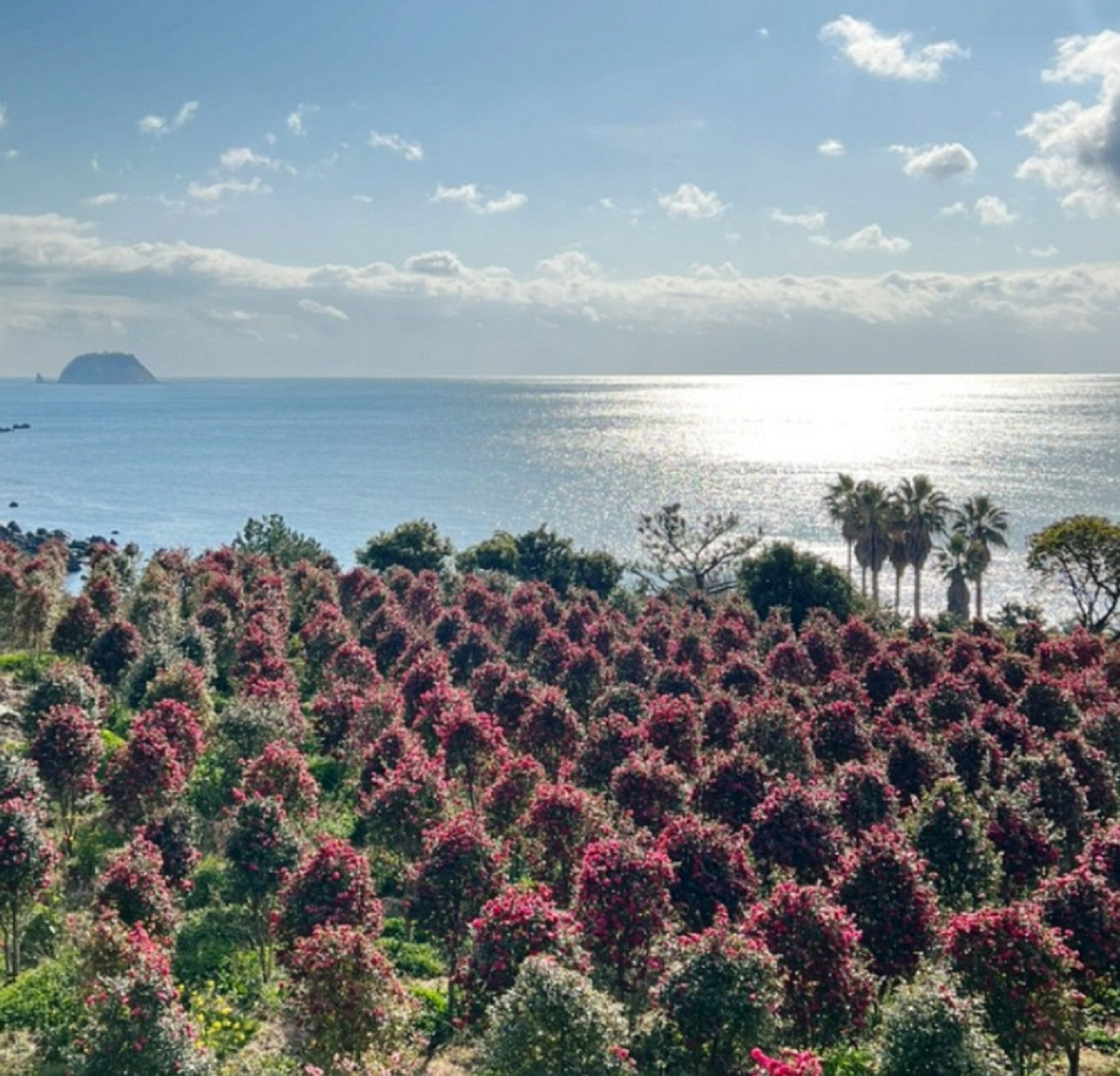 land view from property