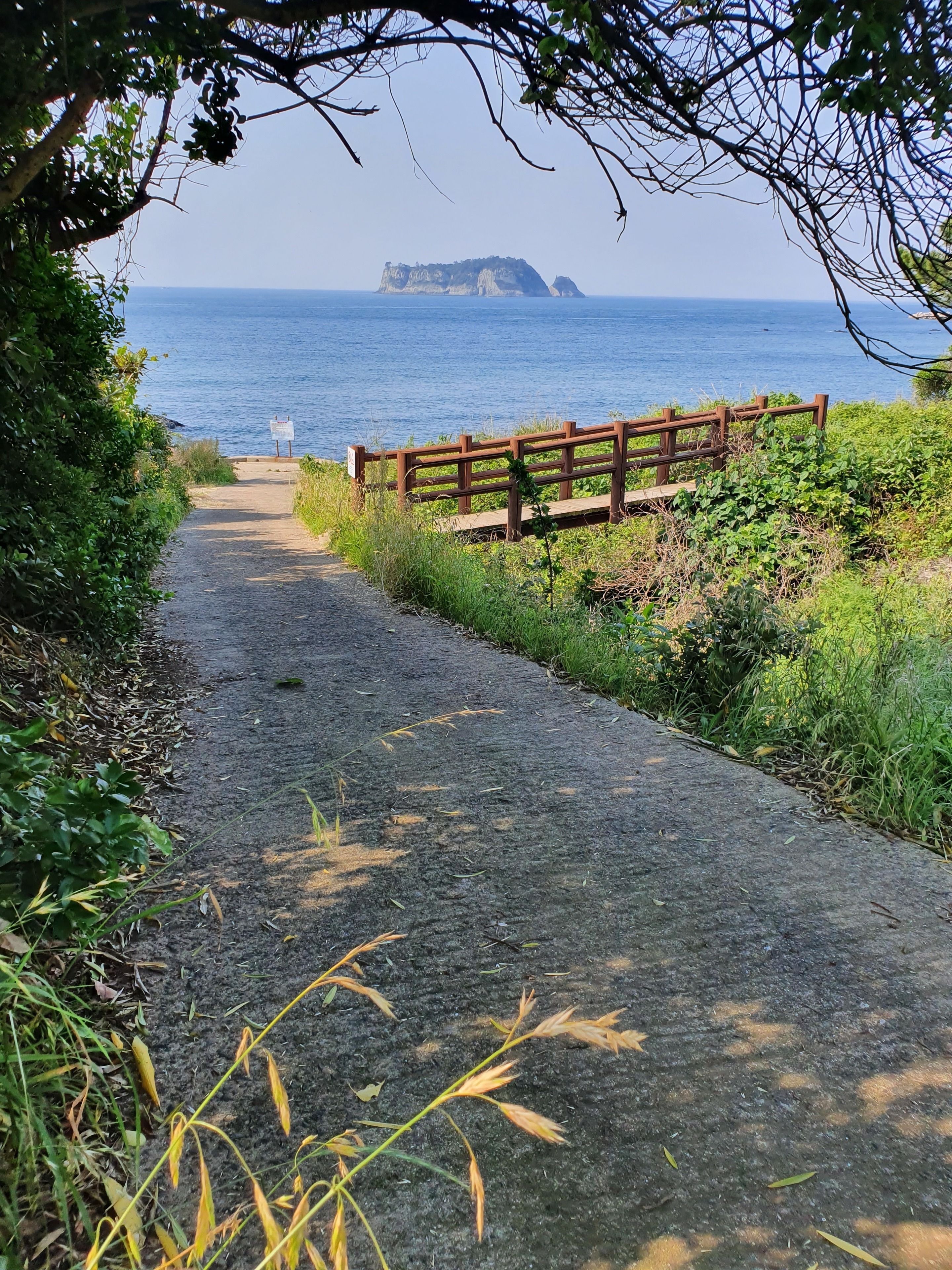 Un chemin pavé mène à une clôture en bois qui surplombe une étendue d’eau, avec une île visible au loin.