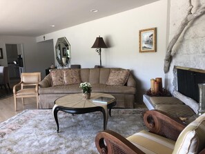 Smart TV, fireplace, DVD player, books
