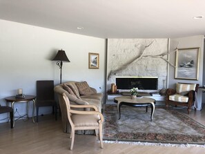 Smart TV, chimenea, reproductor de DVD y libros 