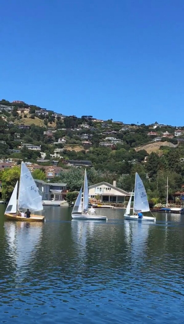 A lake with sailboats and a hillside with houses in the background. - New, completely rebuilt  two level Belvedere Lagoon waterfront monthly rental.  (Belvedere)