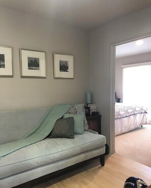 Smart TV, chimenea, reproductor de DVD y libros 