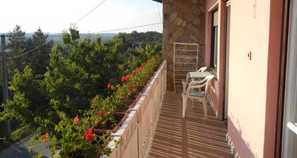 Appartements in Heviz/Thermalsee/Ungarn