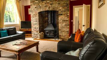 TV connectée, cheminée, lecteur de DVD, livres