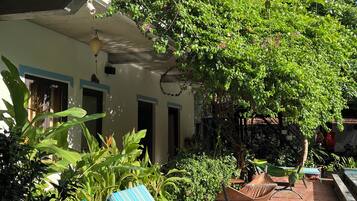 A courtyard with lounge chairs, a hammock, and a variety of plants.