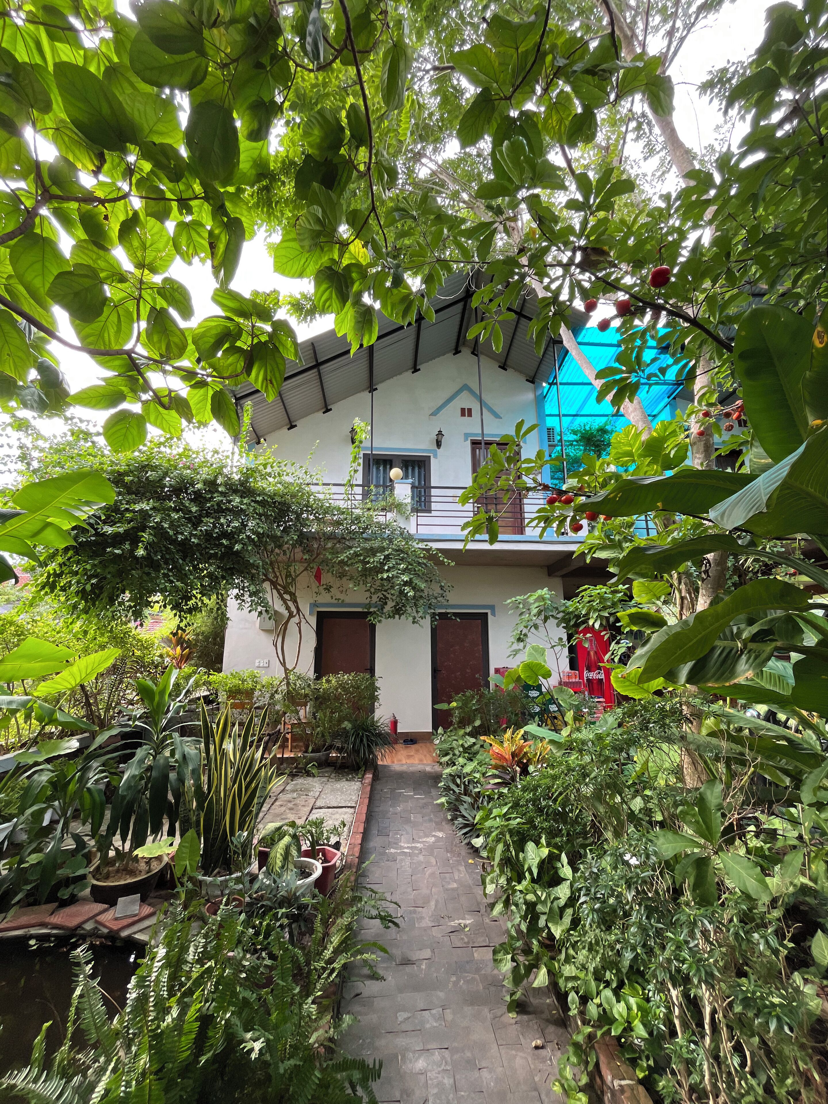 Een huis met een tuinpad dat naar een deur leidt, omringd door diverse planten en bomen.