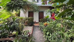 A house with a garden pathway leading to a door, surrounded by various plants and trees. - Phong Nha An An Homestay (Phong Nha)