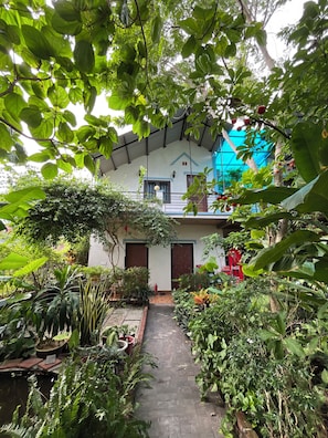A house with a garden pathway leading to a door, surrounded by various plants and trees. - Phong Nha An An Homestay (Phong Nha)