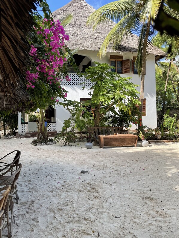 Property grounds - Furaha Lodge right on the white sandy beach of Jambiani (Jambiani)
