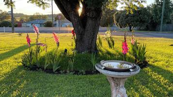 A tree-lined garden with a birdbath and flowering plants.