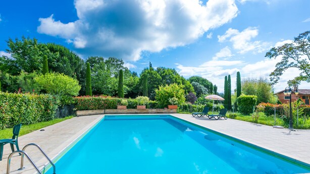 Piscina rectangular con borde de baldosas, rodeada de vegetación exuberante y árboles.