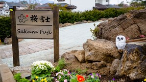 Opastekyltti, jossa on japaninkielisiä merkkejä ja nimi ”Sakura Fuji”, ja joka osoittaa paikan sijainnin.