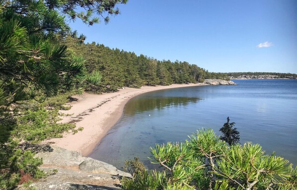 Vlak bij het strand, vissen