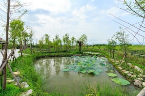 Lake
