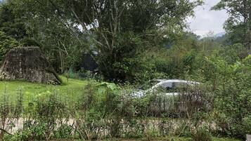 Un paisaje rural con un coche blanco estacionado cerca de un gran árbol y una construcción con techo de paja.