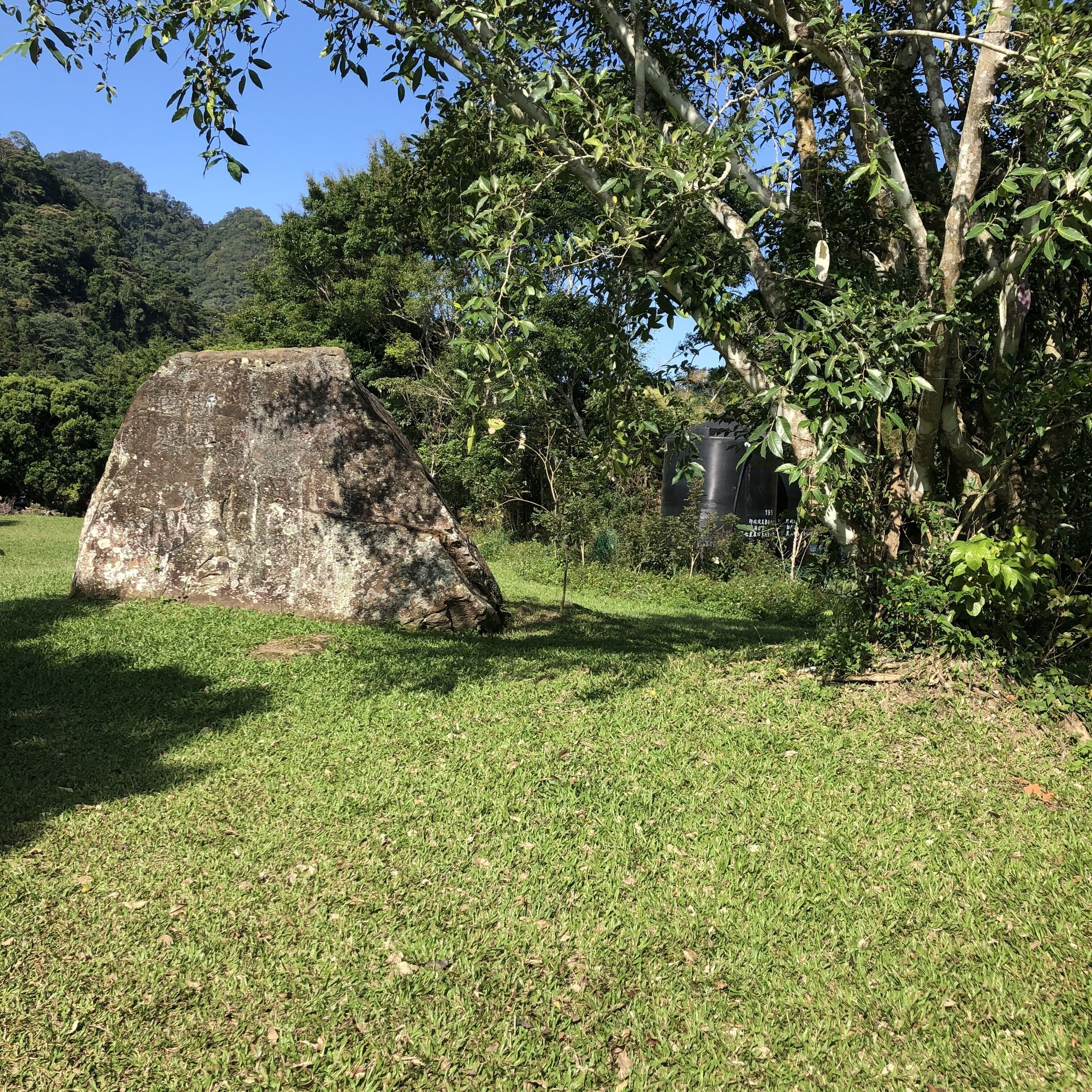 A large rock formation in a grassy area with trees and a clear sky.