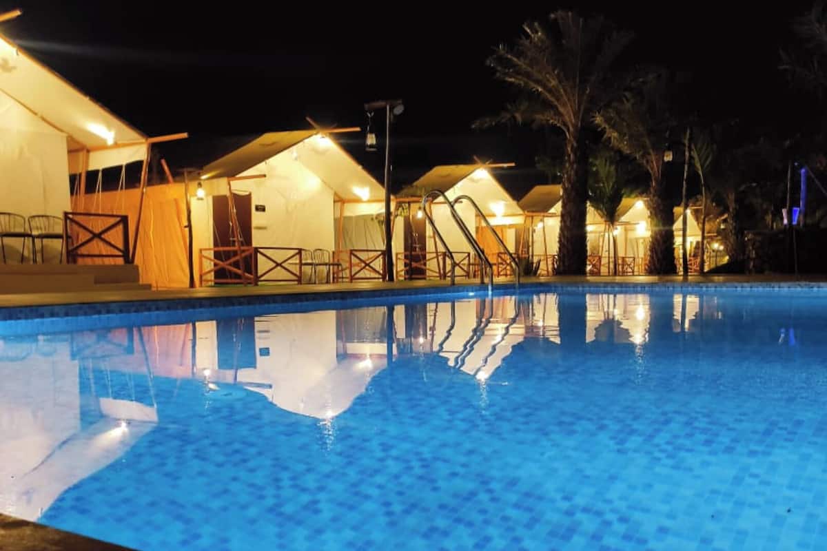 Una piscina iluminada de noche con carpas cercanas y palmeras.