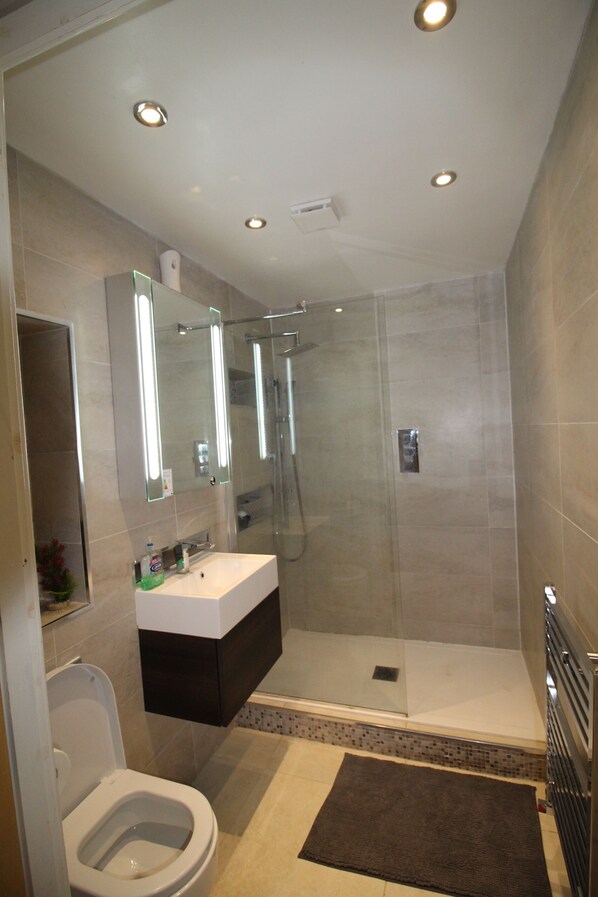 Combined shower/bathtub, hair dryer, towels, soap