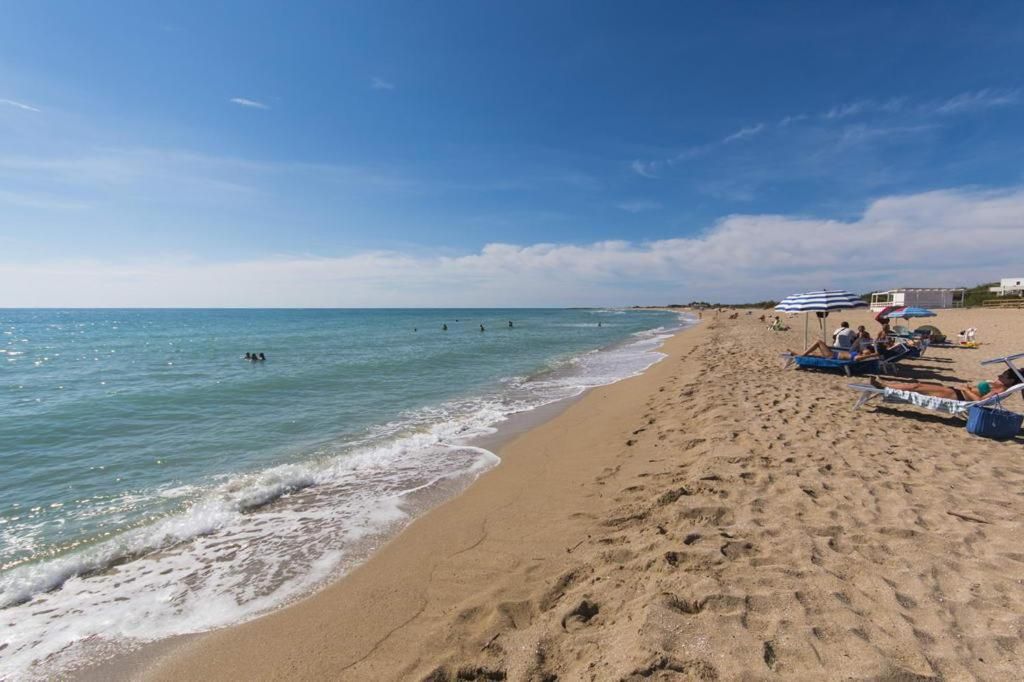 Een strand met heldere lucht, rustig water en ligbedden aan de kust.