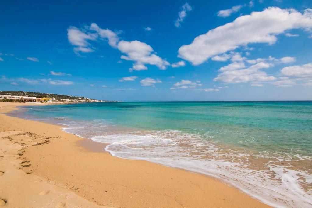 Une plage à l’eau turquoise et limpide, bordée d’un rivage sablonneux.