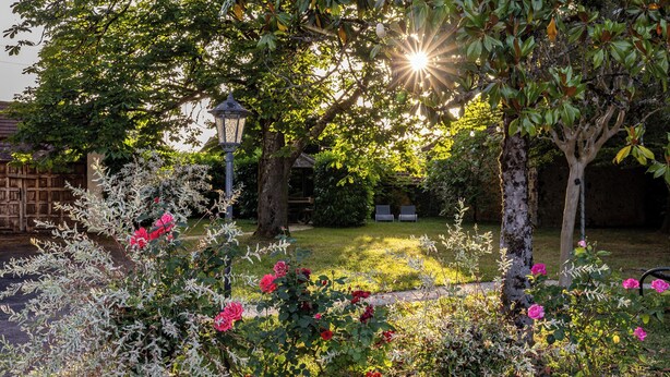 En trädgård med blommande växter och träd, ett trästaket och en lyktstolpe.