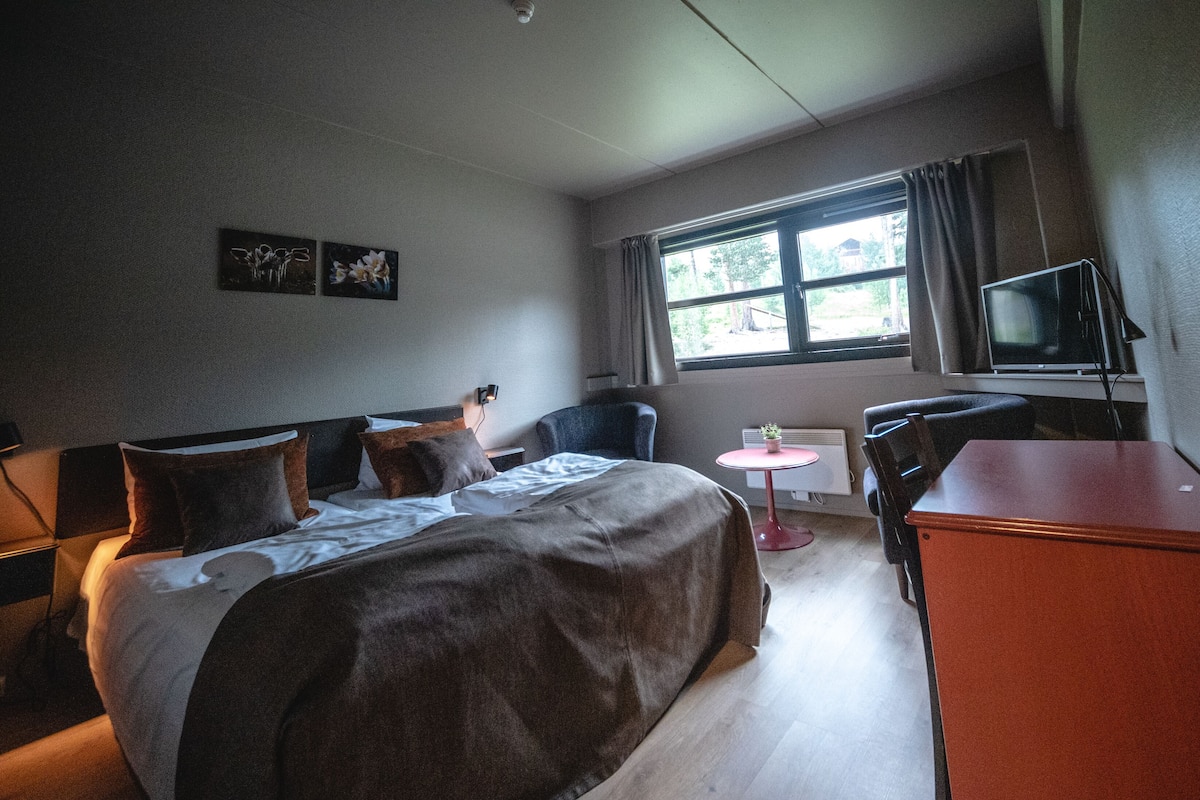 A hotel room with a bed, a desk, a chair, a TV, and a window with curtains.