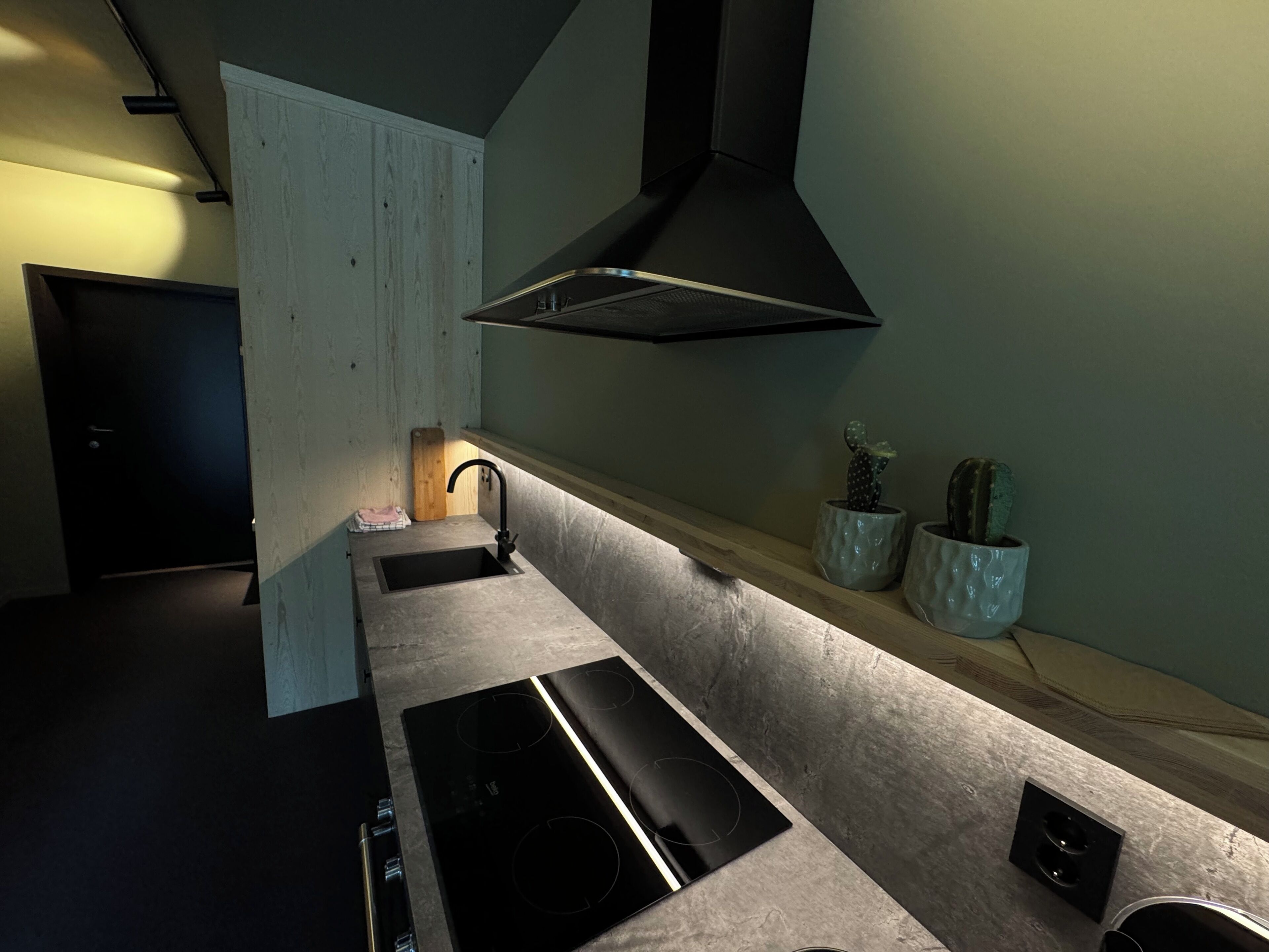 Exclusive Apartment(breakfast not included) | Private kitchen | Highchair