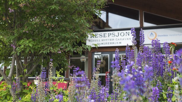 A hotel with a signboard, surrounded by purple flowers and greenery. - Trolltun Hotel (Dovre)