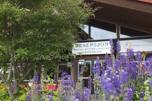 A hotel with a signboard, surrounded by purple flowers and greenery. - Trolltun Hotel (Dovre)