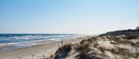 Ranta lähistöllä, kalastusmahdollisuus