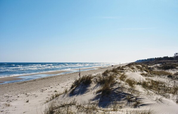 ビーチの近く、釣り