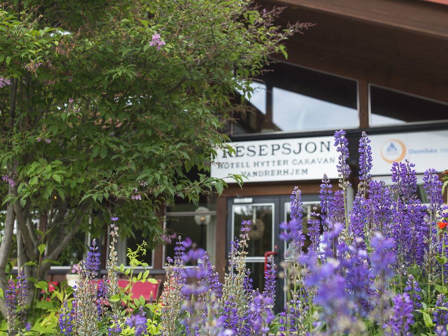 Overnattingsstedets uteområder