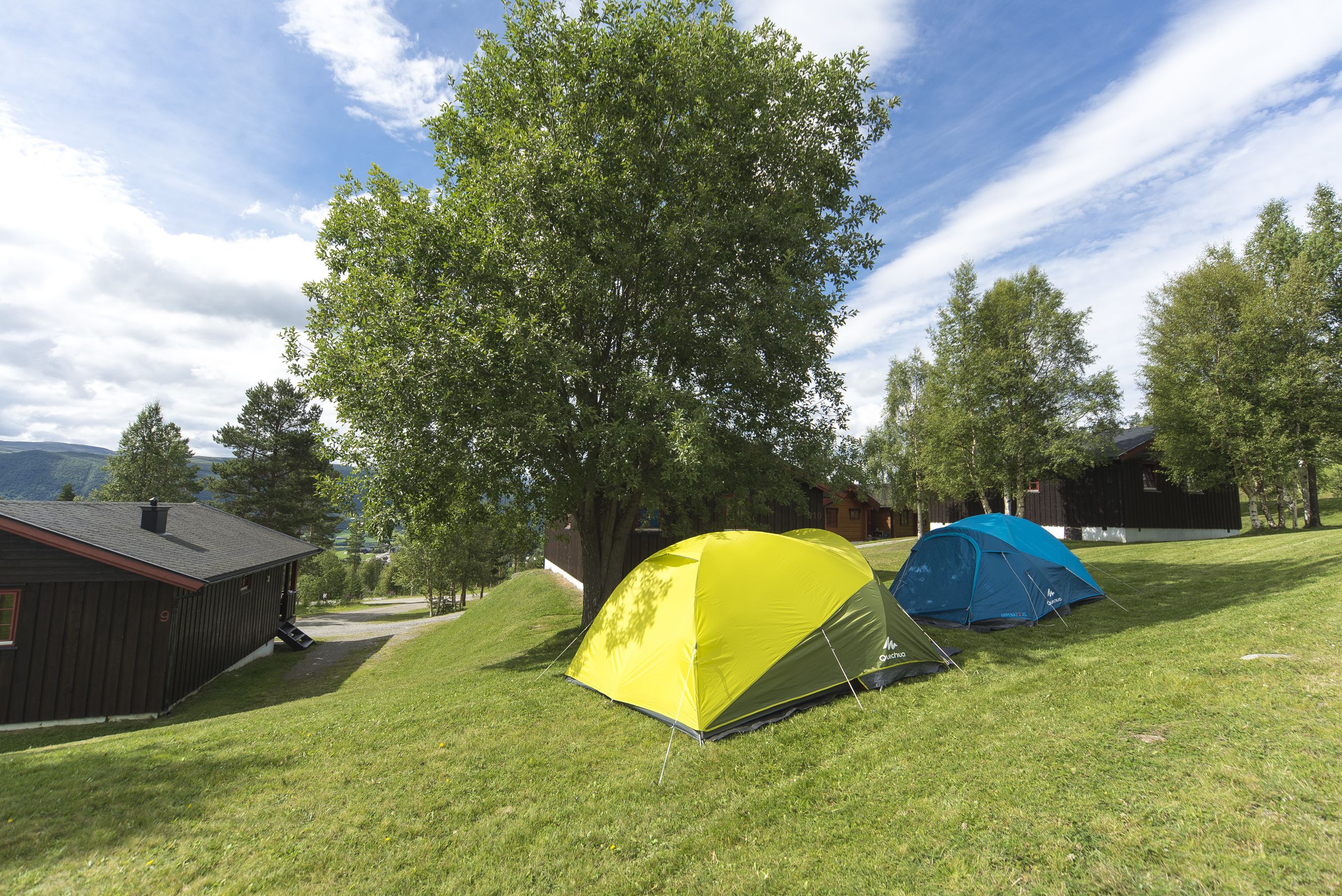 A campsite with two tents, a small cabin, and a large tree.