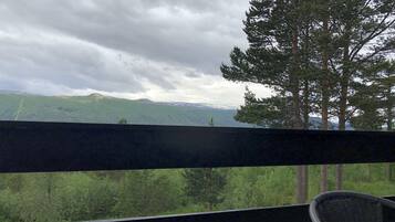 A balcony with a view of a forested landscape and distant mountains.