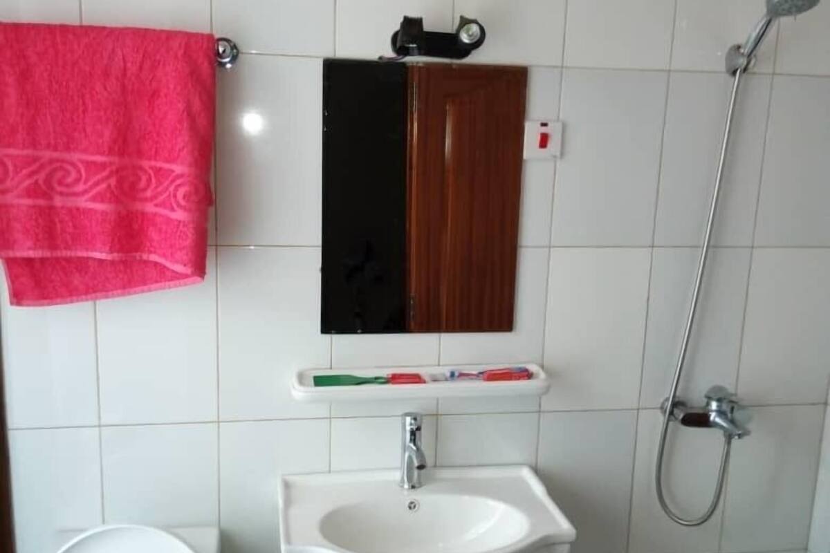 A bathroom with a white sink, a mirror, a shower, and a toilet.