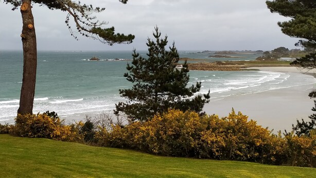A coastal landscape with a grassy area, trees, and a beach. - Country house 5 kms from the sea, 12 kms from Perros Guirec.  (Trelevern)
