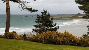 Un paysage côtier comprenant une zone herbeuse, des arbres et une plage.