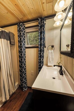 Combined shower/tub, hair dryer, soap, toilet paper