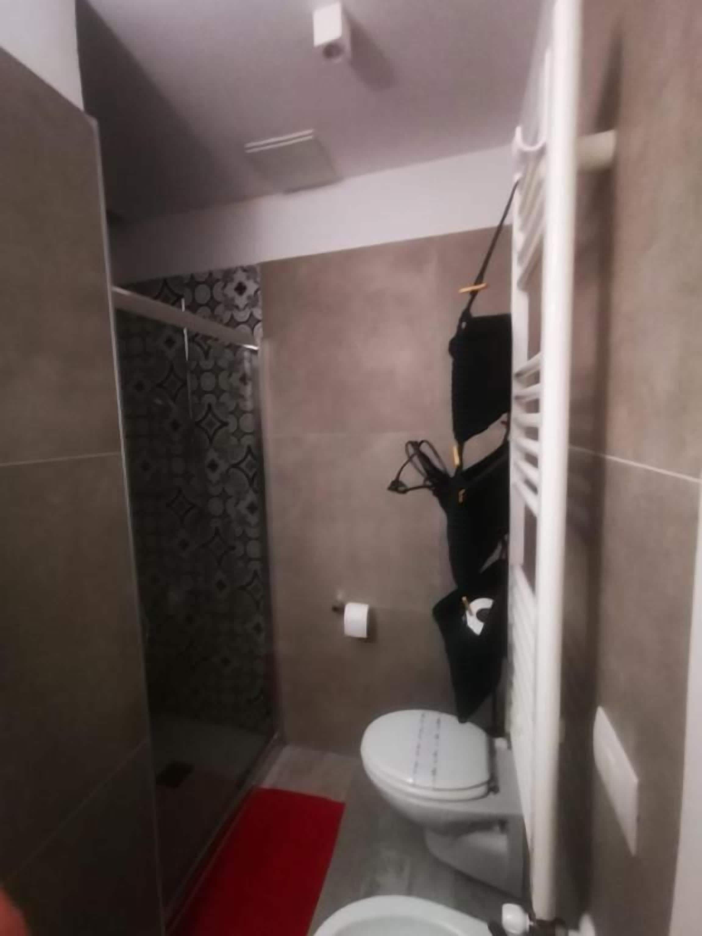Une salle de bain avec une douche, des toilettes et un porte-serviettes.
