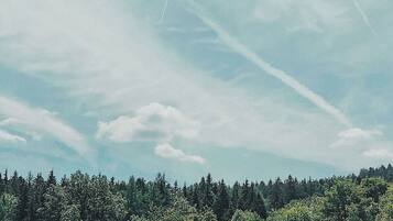 Eine Person sitzt am Pool, im Hintergrund ein Wald.