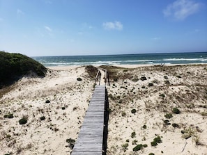 On the beach