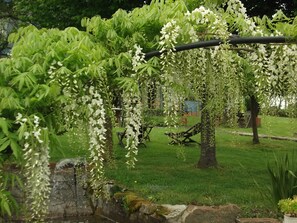 A garden with a pergola covered in white flowers, a stone wall, and a grassy lawn. - Hotel y Apartamentos Son de Mar (Villaviciosa)