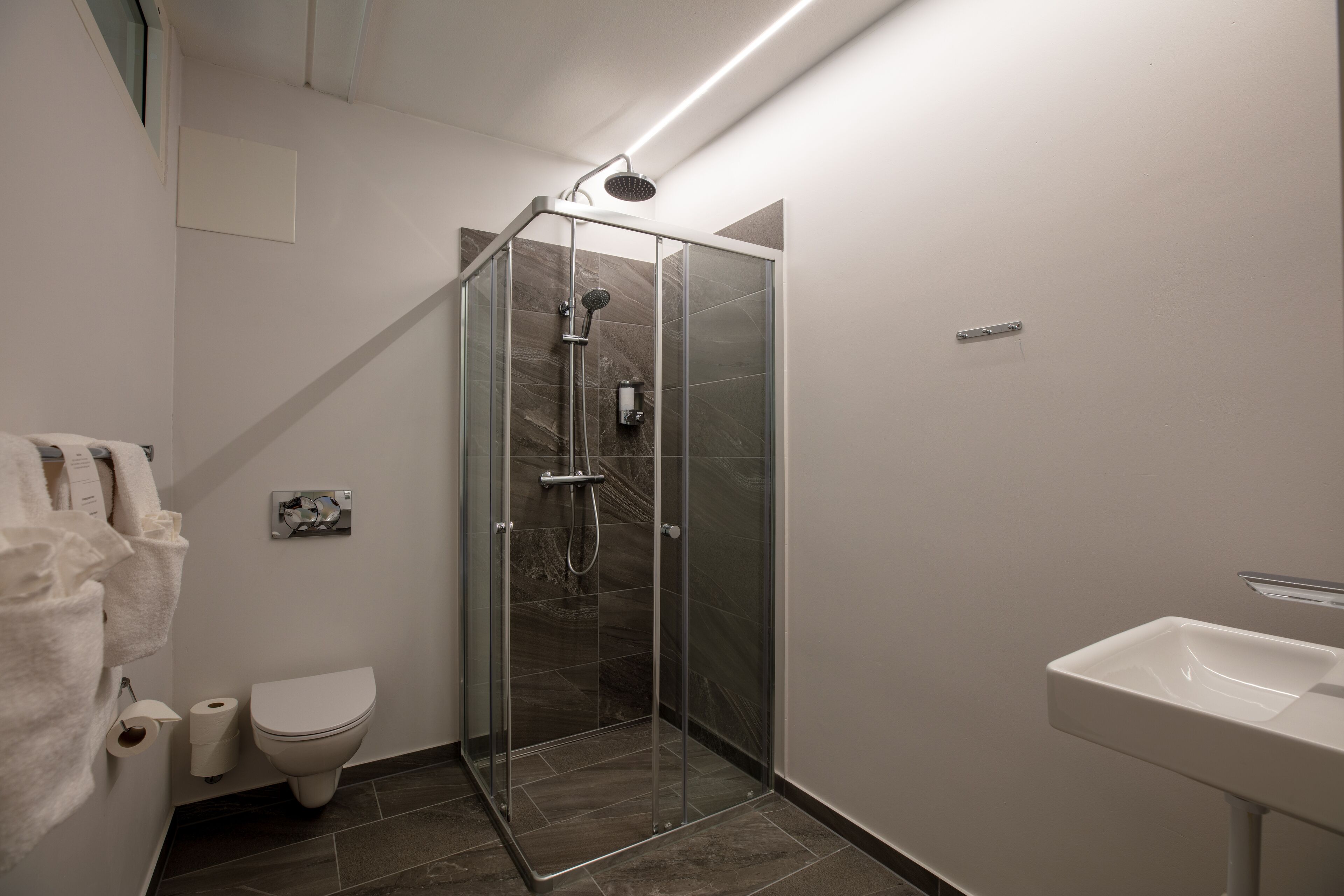 A modern bathroom with a glass-enclosed shower, a toilet, and a sink.