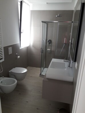 Shower, hair dryer, bidet, towels